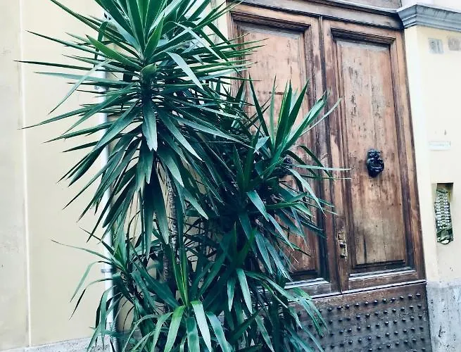Appartamento Da Noi Roma